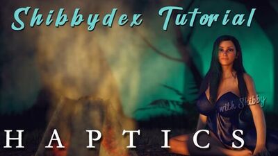 Shibbydex Haptic Guide