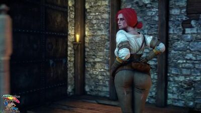 A Cold Winters Night - A Witcher 3 Short [aardvarkianparadise]