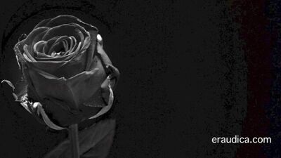 Erotic 3 - Positive, man-loving erotic audio by Eve's Garden