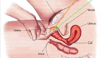 Comment devenir une être femme fontaine ? Comment faire jouir ta copine ?