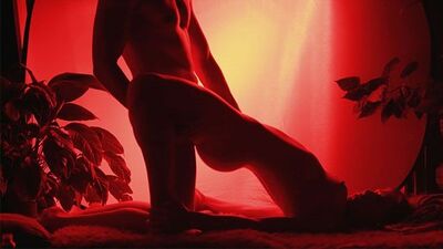 Sensual Silhouette Porn