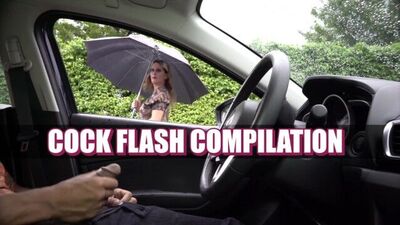 NICHE PARADE - Cock Flash Compilation